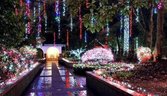 Park and Tilford Gardens